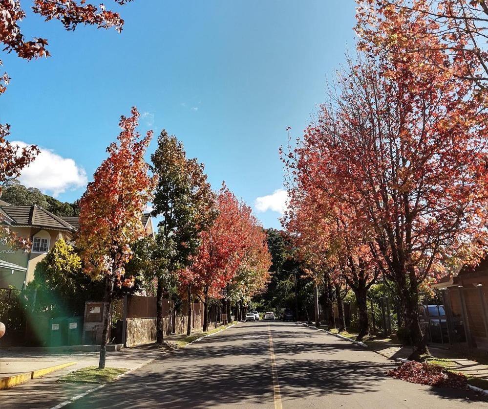 Suite Em Gramado, Proxima A Avenida Das Hortencias Exterior photo